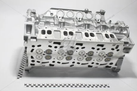 Головка блоку циліндрів (у зборі з клапанами) Renault Master III 2,3dci (10-), 2,0dci Trafic II (06-14) Renault RENAULT 110417248R