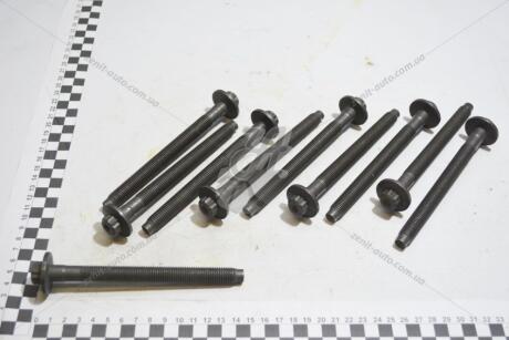 Болт ГБЦ (10шт) 1,6 dci Trafic III 2014- RENAULT 110560195R