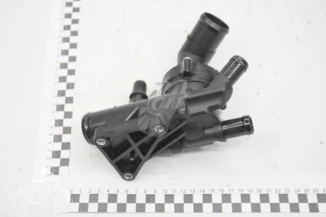 Корпус термостата Renault Trafic 2014- Renault RENAULT 110615482R