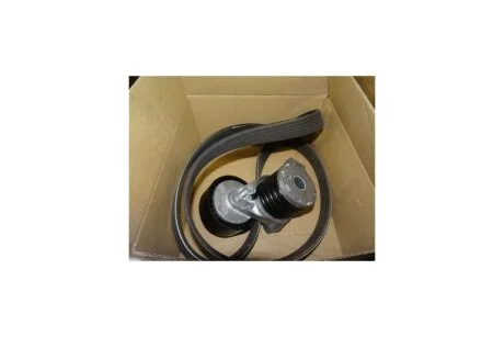Ремкомплект приводного ременя 6PK1176 1,4-1,6I/1,5dci Renault Duster II, Megane III, Clio IV (117201925R) Renault RENAULT '117201925R