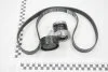 Комплект ремня генератора Renault RENAULT 117202339R (фото 1)