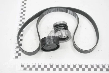 Комплект ремня генератора Renault RENAULT 117202339R