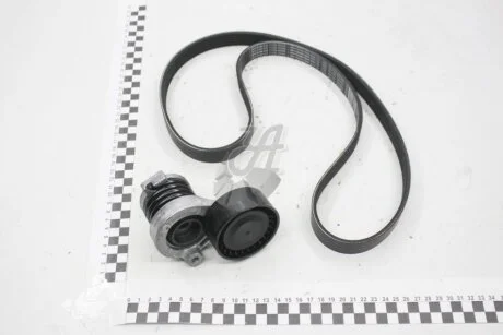 Комплект ременя генератора с AC 1.5dci Renault Kangoo II, Captur, Megane III Renault RENAULT 117202495R