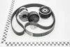 Комплект ременя генератора Renault Captur, Dokker,Kangoo II, Megane III, 1.2 TCe Renault RENAULT 117203336R (фото 1)