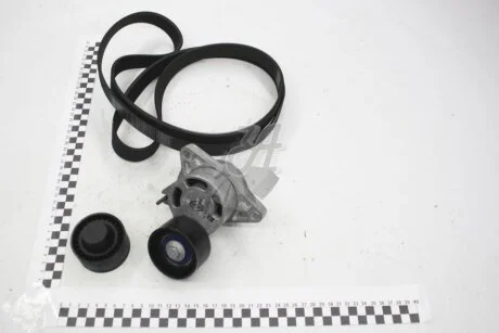 Комплект ремня генератора 2,5 dci Renault Trafic II,.Master II Renault RENAULT 117206887R