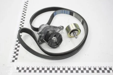 Комплект ремня генератора 2.3 dCi Master III, 2.0 dciTrafic II Renault RENAULT 117209956R