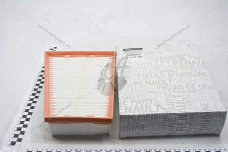 Фильтр воздушный 2,0 dci/ 2,0 16V Renault Megane III, Scenic III 2009- Renault RENAULT 165463884R