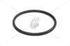 Прокладка водяного насоса 1,6 dci Megane IV (16-) RENAULT '210142393R (фото 1)