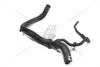 Патрубок радиатора Renault Scenic III (09-) (215017612R) Renault RENAULT '215017612R (фото 1)