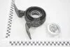 Подшипник подвесной 45x19x194 Renault Master III, Opel Movano B, Nissan Interstar Renault RENAULT 375252191R (фото 1)