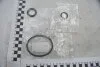 Прокладка радиатора масляного 1,5 dci Renault Logan II, Dokker Renault RENAULT 7701475118 (фото 1)