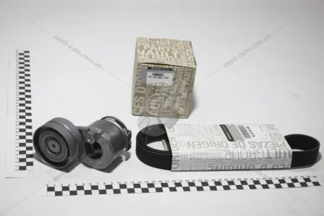 Ремк-кт ременя привідного (7PK1125) Renault Megane II/III, Scenic II/III7PK1125K1 Renault RENAULT 7701477515