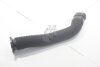 Патрубок воздушного фильтра 1,5dci Kangoo I (97-), Clio II RENAULT 8200039843 (фото 1)