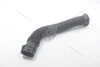 Патрубок повітряного фільтра 1,5dci Renault Kangoo I (97-), Clio II Renault RENAULT 8200039843 (фото 3)