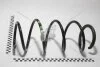Пружина подвески передняя Renault Megane II, Scenic II 03-09 Renault RENAULT 8200040088 (фото 1)