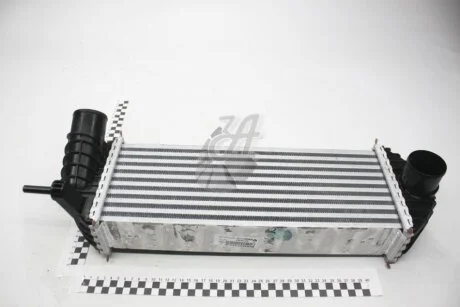 Радіатор інтеркулера 1,5dci Renault Kangoo II 2008- Renault RENAULT 8200427469
