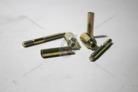 Болт кріплення форсунки (комплект на 2 шт) 2,2 / 2,5dci Master II (01-10) RENAULT 8200553118