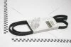 Ремень генератора 1,4/1,6 8V с ГУРом и конд (5PK1747) Renault Clio II, Kangoo, Logan Renault RENAULT 8200833541 (фото 1)