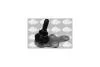 Опора кульова FORD C-Max, Focus/VOLVO C30, C70, S40, V50 Sasic SASIC '7576041 (фото 1)
