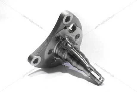 Маточина колеса ззаду права VW Golf (84-02), Jetta (84-92), Passat (85-97), Polo (95-00) / Seat Ibiza (93-99), Toledo (92-) (B72007R) TANGUN 'B72007R