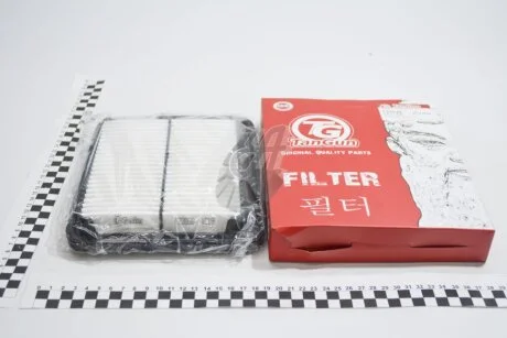 Фільтр повітряний Hyundai i10 1.1 (11-) TANGUN F22030