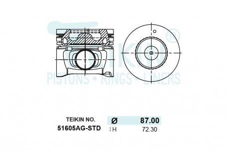 Поршень ДВС STD (4шт.+пальцы) Hyudnai 2.2D (D4EB-F/D4EB-G) Santa Fe (06-) TEIKIN 51605AG-STD