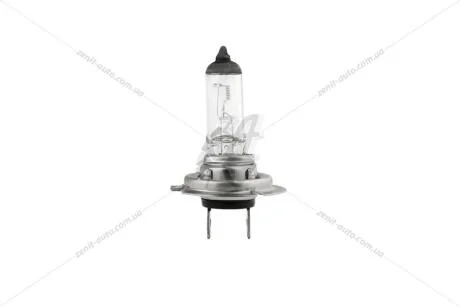 Лампа галогенная H7 12V 55W PX26d Tesla TESLA B10701