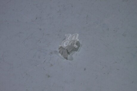 Кліпса обшивки (пластик) Rav4 (17-) TOYOTA '9046711122