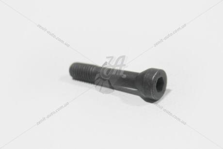 Болт фланця напівосі DQ250 VW Passat B8 VAG 02E409359
