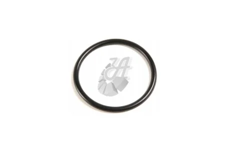 Прокладка термостата VW, Seat, Audi, Skoda 1.6, 2.0 (99-) VAG '038121119
