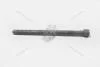 Болт крепления насос-форсунки VAG 03G103385A (фото 1)