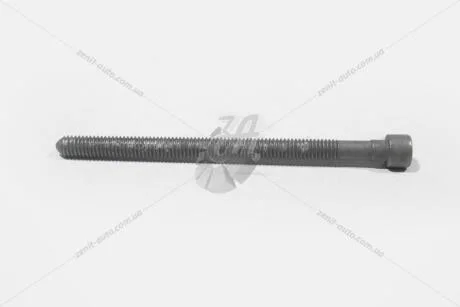 Болт кріплення насос-форсунки VAG 03G103385A