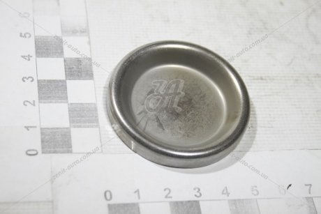 Заглушка блоку циліндрів Golf, Passat, Tiguan 2,0 VAG 04L103113