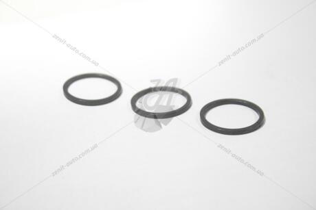 Кільця ущільнюючі задньої кришки ГБЦ (компл) VAG 06F198107A