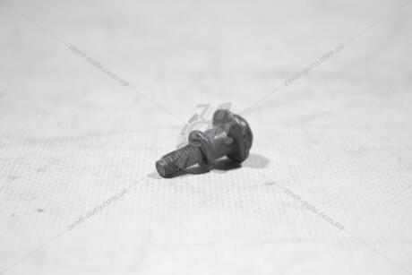 Болт внутр. TORX з гумовою втулкою AUDI/VW VAG 06J103831