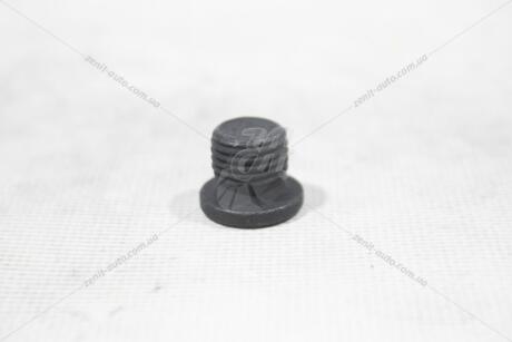 Пробка мастилозливна VW/Audi/Skoda/Seat VAG N0160276