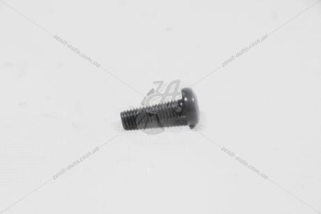 Болт натяжителя цепи ГРМ Audi Q7 (16-) 3.0 TFSI VAG N10124304