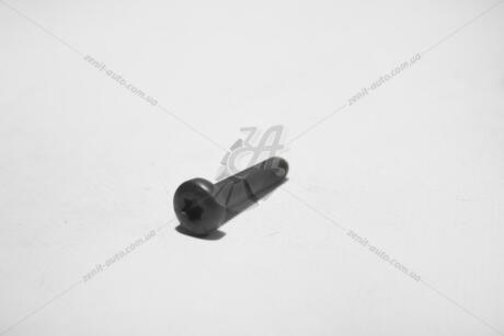 Гвинт М6*30 внутр. TORX VAG 'N10156205