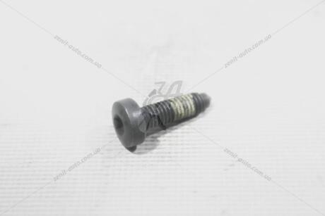 Болт с внутренним многогранником VAG N10196303