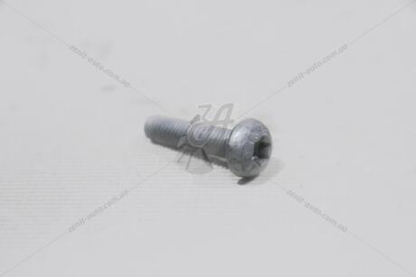 Болт М6*25 внутр TORX VAG N10413405