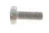 Болт М6*16 внутр. TORX кришки РКПП DQ250 (N10451405) VAG 'N10451405 (фото 1)