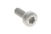 Болт М6*16 внутр. TORX кришки РКПП DQ250 (N10451405) VAG 'N10451405 (фото 3)