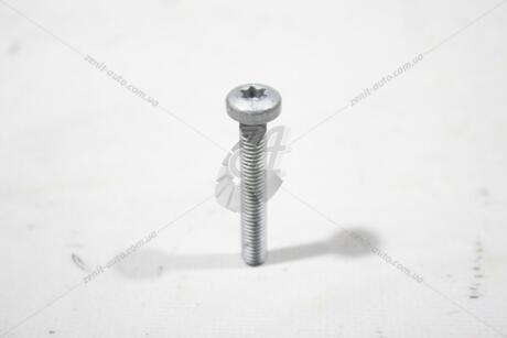 Болт M6X40 внутр. TORX AUDI/VW VAG N10582103