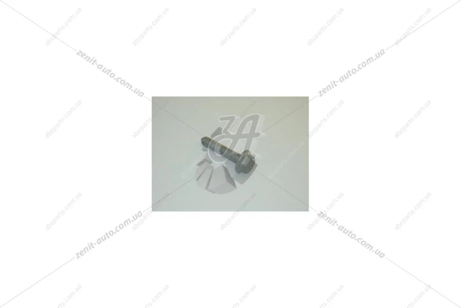 Болт AUDI/VW VAG N10699401 (фото 1)