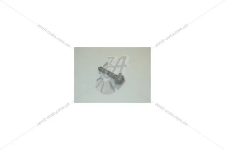Болт AUDI/VW VAG N10699401