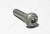 Болт маслонасоса M8*35 внутр TORX VAG 'N10736001 (фото 1)