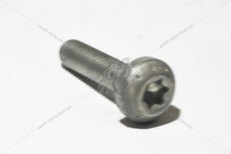 Болт маслонасоса M8*35 внутр TORX VAG 'N10736001