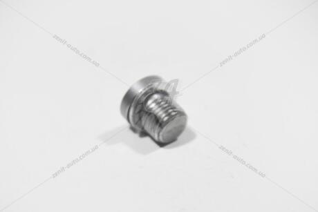 Пробка резьбовая с уплотнительным кольцом М10*1*10 VAG 'N90414203