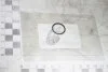Кольцо уплотнительное клапана регулировки давления топлива VAG N90451902 (фото 1)