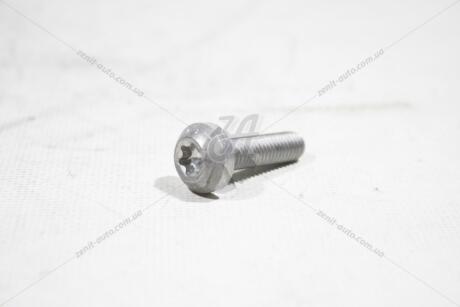 Болт M6*18 TORX VW Touareg (11-18) VAG 'N91140701